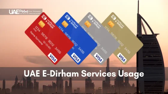 E-Dirham cards against Dubai skyline showcasing UAE's digital payment services.