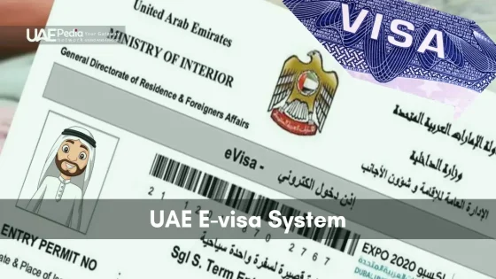 Close-up of UAE e-visa entry permit showing barcode, emirate emblem, and personal photo placeholder.