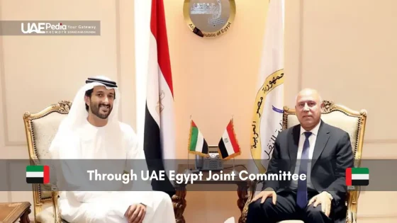 UAE and Egypt officials during a meeting