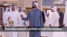 UAE leaders in a meeting discussing the organizational role of the executive branch in governance.