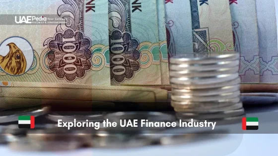 UAE currency and coins symbolizing the finance sector