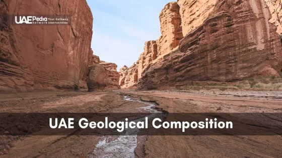 A rugged canyon in the UAE with visible sedimentary rock layers and erosion patterns.