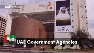 UAE government building, Dubai Municipality, with UAE flag displayed.