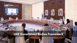 UAE government meeting with officials seated around a curved table and national flags.