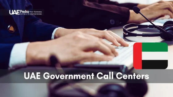 Operators typing on keyboards with headsets, symbolizing UAE government call center services.