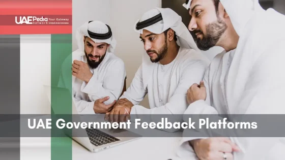 Emirati professionals discussing feedback on UAE government services at a laptop.