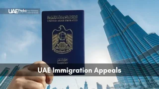 Hand lifts a blue UAE passport before the Burj Khalifa and cityscape under a clear sky.