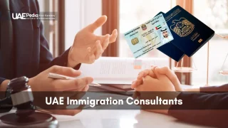Consultant discussing Emirates ID, UAE passport, and legal matters at desk with gavel and scales.