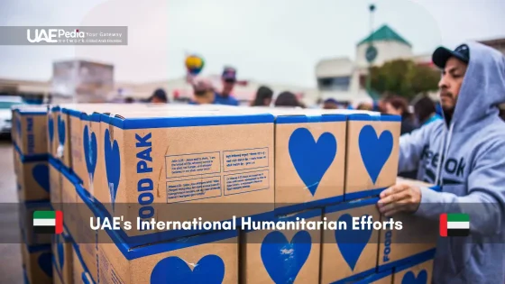 Volunteers distributing humanitarian aid boxes