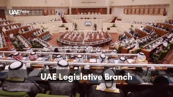 UAE Legislative Branch session with council members engaged in discussion.
