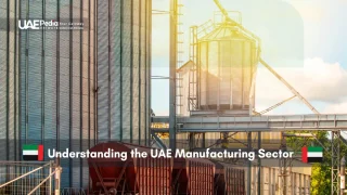 Industrial scene of UAE's manufacturing sector