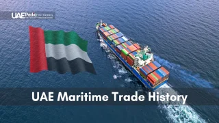 A container ship on open water, reflecting the UAE's maritime trade significance.