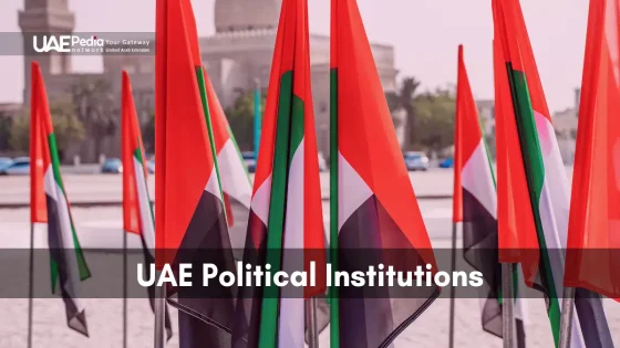 Rows of UAE flags symbolizing the country's political institutions and unity.