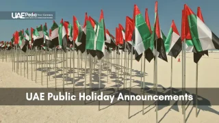 Multiple UAE flags in a desert landscape, representing national celebrations.