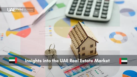 Analyzing charts related to UAE real estate market.