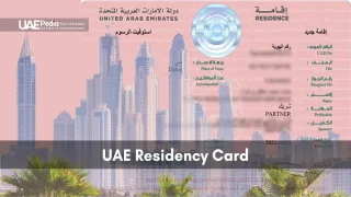Pink UAE residency permit card displayed against a backdrop of Dubai high-rises and palm trees.