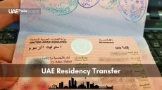 Hand presenting open UAE residence visa page stamped with entry and exit marks, skyline below.