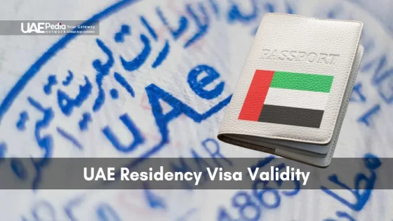 Close-up of a white passport cover adorned with the UAE flag over a blurred UAE entry stamp.