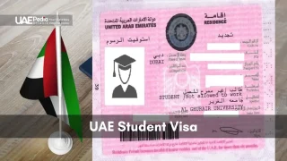 Waving UAE flag over the Palm Jumeirah with Burj Al Arab backdrop and floating gold visa cards.