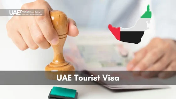 Hand holding a passport stamp next to a colored map of the UAE indicating a tourist visa process