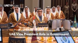 UAE Vice President and ministers in traditional dress attending a formal meeting.