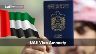 Fist raising a UAE passport alongside a waving United Arab Emirates flag in a blurred setting.