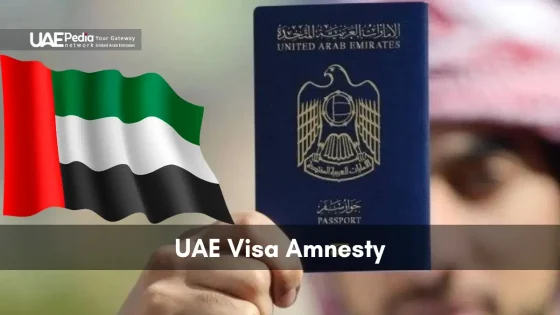 Fist raising a UAE passport alongside a waving United Arab Emirates flag in a blurred setting.
