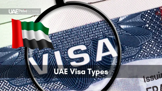 Enlarged section of a visa page under a magnifying glass next to a stylized United Arab Emirates flag