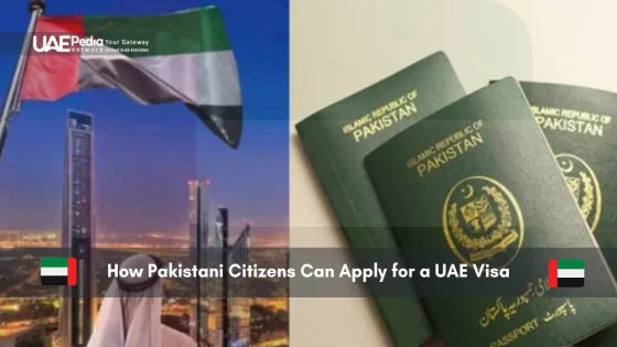 UAE flag beside Pakistani passports for visa process