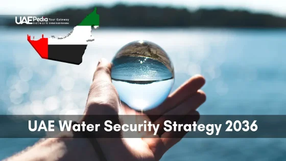 A hand holding a glass water droplet, representing UAE Water Security Strategy 2036.