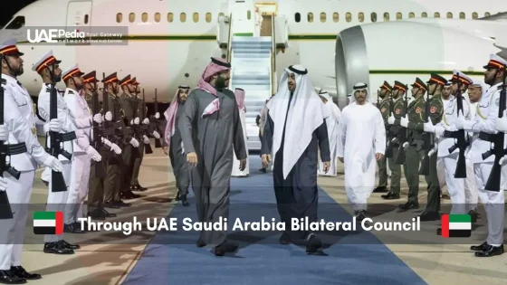 UAE and Saudi Arabia leaders at an airport