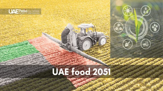 A modern farm with advanced technology, symbolizing the UAE Food 2051 strategy.