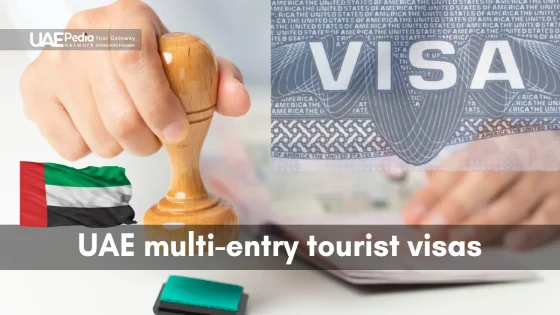 UAE multi-entry tourist visa stamp showcasing travel flexibility and convenience.