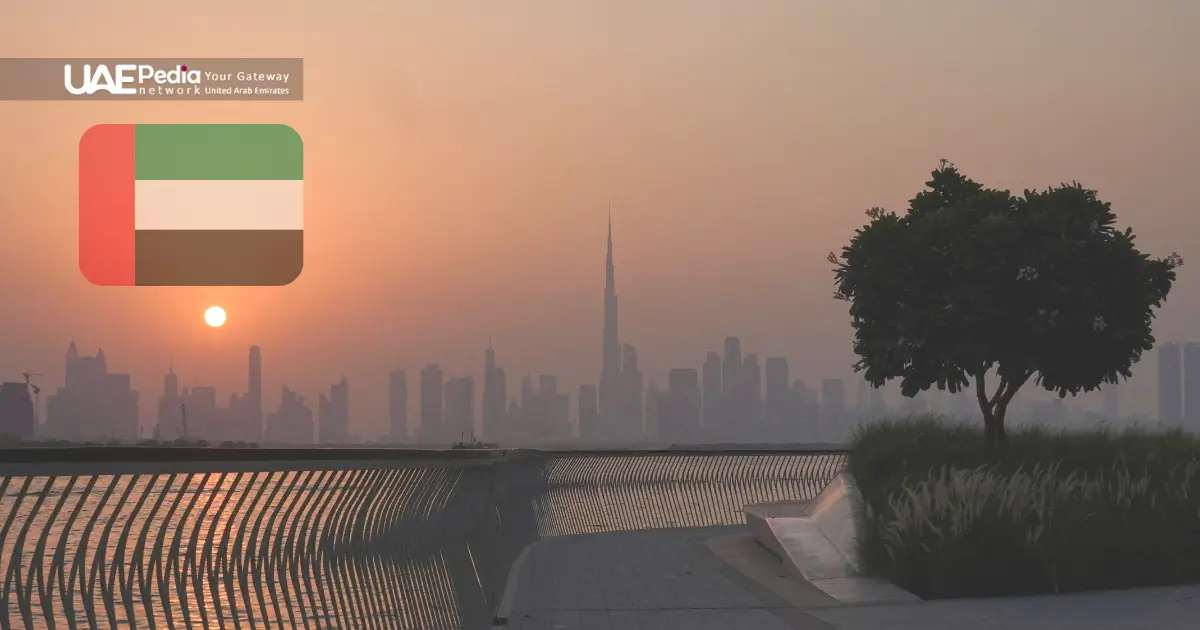 Dubai’s skyline at sunset with a tree and UAE flag, showing climate effects.