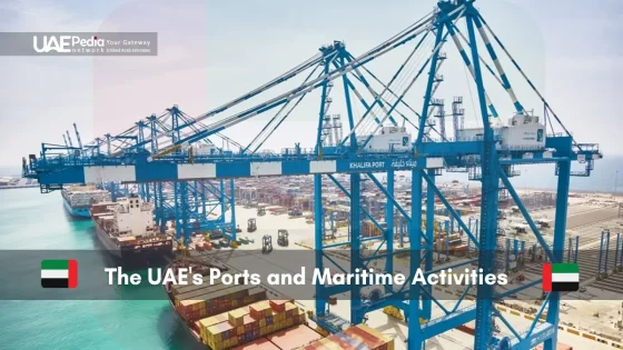 Aerial view of Khalifa Port with loaded cargo containers in UAE