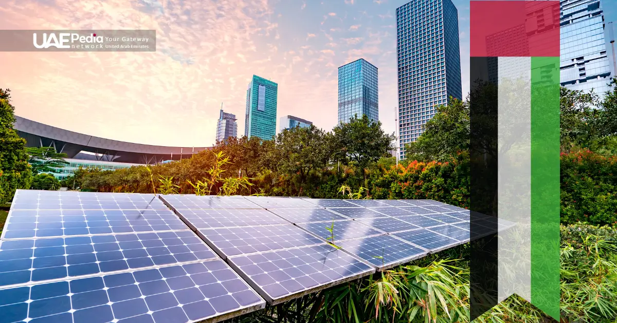 Solar panels in a lush urban setting with skyscrapers in the UAE.