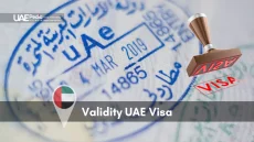 Close-up of a UAE entry stamp dated March 4, 2019, with a red visa stamp icon and flag pin.