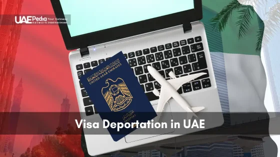 Emblazoned UAE flag overlays a laptop with a UAE passport and small airplane model on its keyboard.