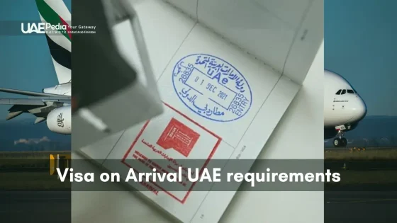 UAE passport page showing a blue entry stamp and red visa-on-arrival stamp with plane in background.
