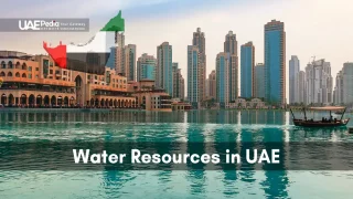 Dubai Marina skyline reflecting on calm waters, showcasing UAE's water resources.