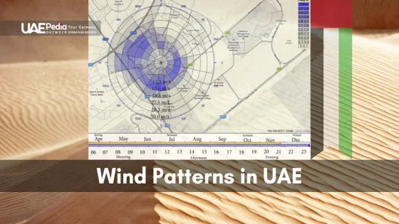 A wind pattern diagram overlaying desert dunes, illustrating UAE’s wind flow.