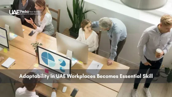 Team working in a modern UAE office with graphs on screens