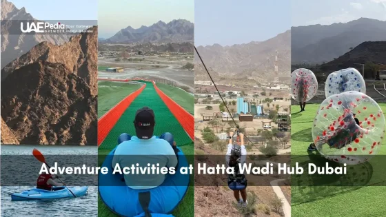 paddling a kayak, riding a colorful toboggan, ziplining over a valley, and bubble zorbing on grass.