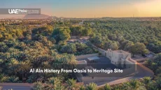 Aerial view of Al Ain oasis and heritage site