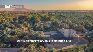 Aerial view of Al Ain oasis and heritage site
