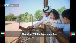 Al Ain Zoo Wildlife Experience Tour