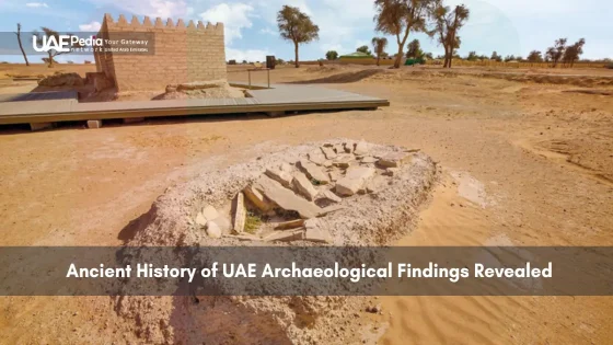 Excavated ancient site with stone remains and desert landscape