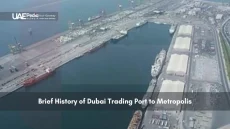 Aerial view of Dubai port with shipping docks and cargo containers