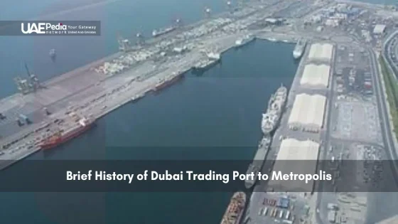 Aerial view of Dubai port with shipping docks and cargo containers
