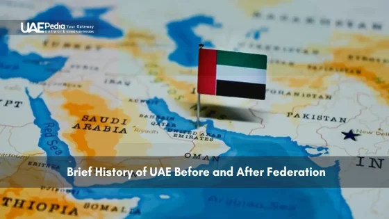 UAE flag pin placed on a map of the Middle East